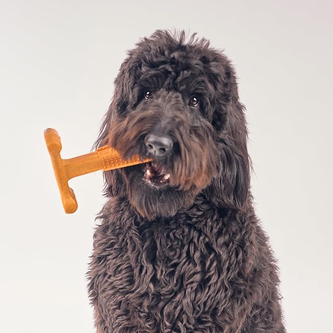 SPOT Bam-Bones Plus T Bone - Bamboo Fiber & Nylon, Durable Long Lasting Dog Chew for Aggressive Chewers – Toy for Dogs & Puppies Under 90lbs, Non-Splintering, 7in, Allergen Free Peanut Butter Flavor
