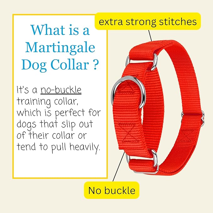 Country Brook Petz - Martingale Dog Collar - Heavy-Duty Training Collar with No Buckle - Service Dog Collar for All Pups - 10+ Warm Colors (Hot Orange, 3/8 Inch, 2XS)