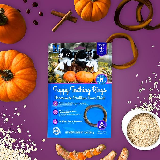 N-Bone Puppy Teething Ring Pumpkin Flavor 7.2 OZ/(6 Pack)