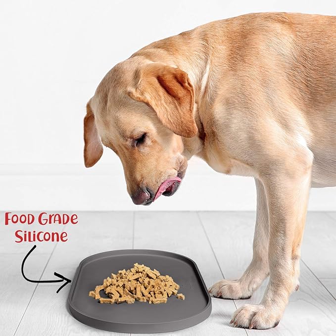 DogBuddy Dog Food Mat - Waterproof Dog Bowl Mat, Silicone Pet Mat for Food and Water Bowls, Nonslip Pet Feeding Mat with Edges, Dogs Food Mats for Floors, Puppy Supplies (Small, Gray)