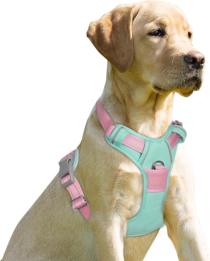 BARKBAY No Pull Dog Harness Front Clip Heavy Duty Reflective Easy Control Handle for Large Dog Walking(Cool Mint & Baby Pink,XS)