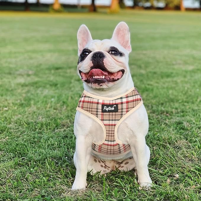 PUPTECK Soft Mesh Dog Harness and Leash Set Pet Puppy Cat Comfort Padded Vest No Pull Harnesses, Khaki, M