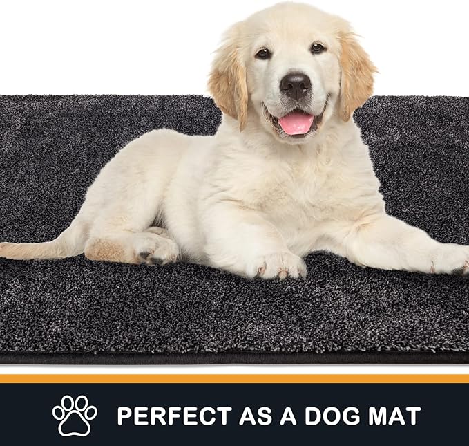 PURRUGS Dirt Trapping Door Mat 24" x 84", Non-Slip Machine Washable Entryway Rug, Dog Doormat, Indoor Front Door Mat, Super Absorbent Entry Rug for Muddy Shoes & Paws, Charcoal