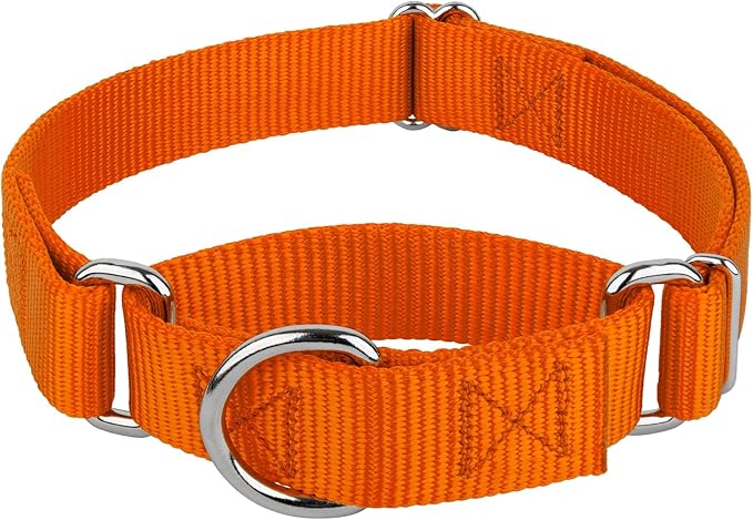 Country Brook Petz - Martingale Dog Collar - Heavy-Duty Training Collar with No Buckle - Service Dog Collar for All Pups - 10+ Warm Colors (Orange, 1 Inch, Large)