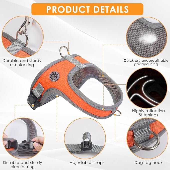 Dog Harness and Leash Set, No Pull Saddle Style Pet Harness, Breathable Mesh Adjustable Reflective Dog Vest for Dogs and Cat Medium Small Harness 2 D-Rings (Orange, M)