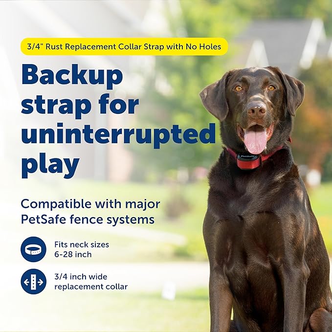 PetSafe 3/4" Rust Replacement Collar Strap with No Holes - Adjustable Strap - Durable Nylon Design - Quick-Snap Buckle - Compatible with Wireless Fence & Bark Collars - 30" - Rust Red