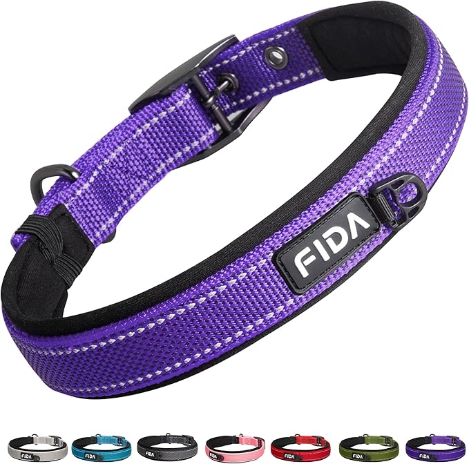 Fida Heavy Duty Dog Collar, Ultra Comfortable Soft Neoprene Padded, Adjustable Reflective Nylon Pet Collar with Durable Metal Belt Buckle for Small Breeds (S, Purple)