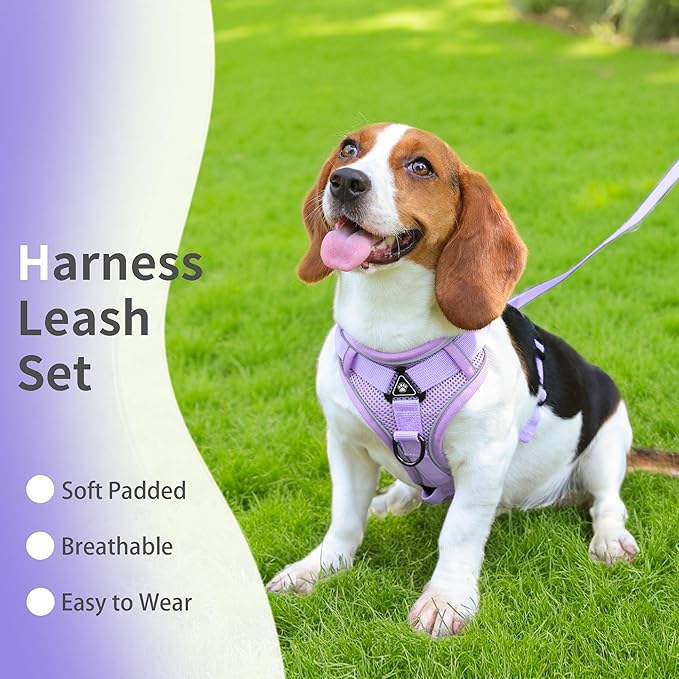 No Pull Dog Harness with Leash Set for Small Sized Dog, Reflective Adjustable No Choke Front Clip Cat Vest Harness with Breathable Mesh, Comfortable Soft Padded Pet Vest, Purple M