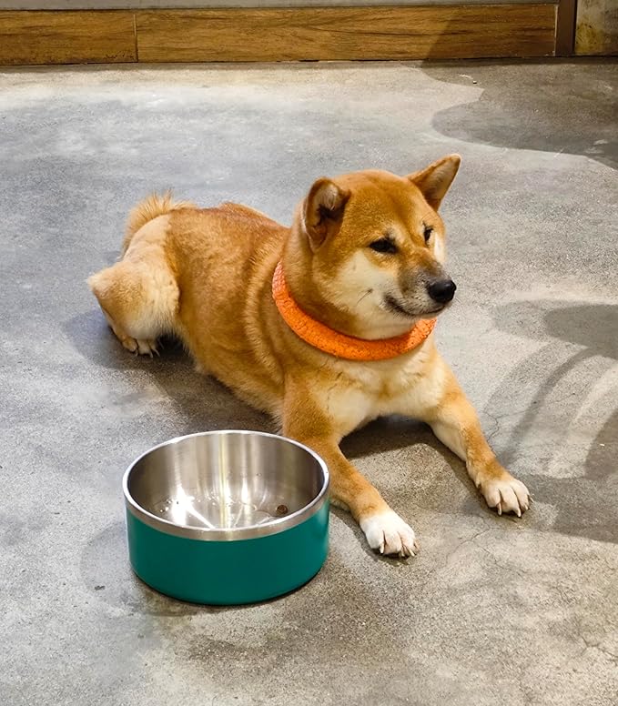 Dog Bowl, Stainless Steel Dog Food and Water Bowl with Non Slip Quiet Bottom, Easy to Clean, Dishwasher Safe, 40oz, Deep Green