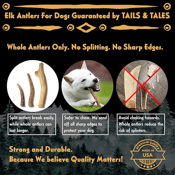Tails & Tales Whole Elk Antler for Dogs X-Large 8-10" Long-Lasting & Durable Dog Bones for Aggressive Chewers or Teething Puppies No Additives, Premium Grade A, Naturally Shed in USA