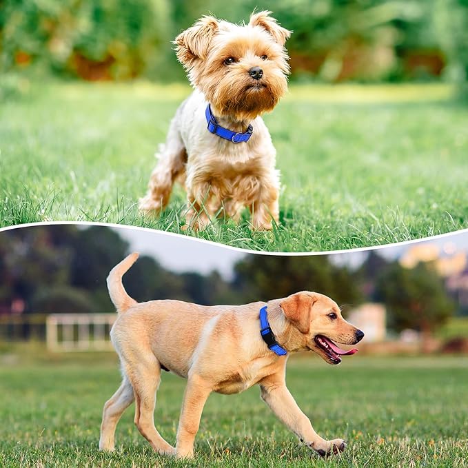 Reflective Dog Collar Padded with Soft Neoprene Breathable Quick Release Basic Dog Collars for Medium Large Dogs Blue Boy Girl