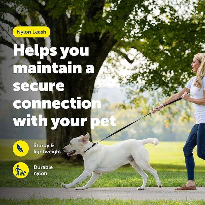 PetSafe Nylon Leash - Chew-Resistant Cat & Dog Behavioral Training Leash - Compatible with Easy-Walk Harness - Traditional-Style Reliable Pet Lead with a Padded Hand Wrap - 3/4" x 4' - Red