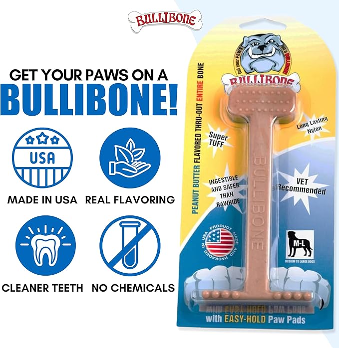 Bullibone Nylon Dog Chew Toy for Aggressive Chewers - Dental Hygiene Bone with Peanut Butter Flavor, Durable Tough Chew Toys for Large Dogs, Indestructible Dog Bone - Single
