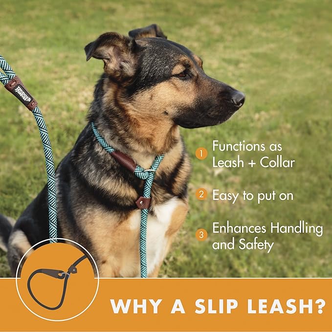 Friends Forever Extremely Durable Dog Rope Leash, Premium Quality Training Slip Lead, Reflective, Thick Heavy Duty, Sturdy, No Pull, Comfortable For The Strong Large Medium Small Pets 6 feet, Silver