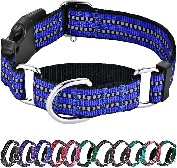 Hikiko Martingale Collar for Dogs Reflective Nylon Dog Collar with Quick Release Buckle Adjustable Training No Slip Dog Collar (X-Large, Blue)