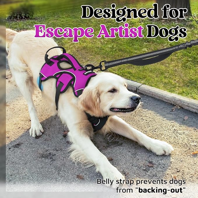 rabbitgoo Escape Proof Dog Harness, Soft Padded Full Body Pet Harness, Reflective Adjustable No Pull Vest with Lift Handle and Leash Clip for Large Dogs Walking Hiking Training, M, Purple