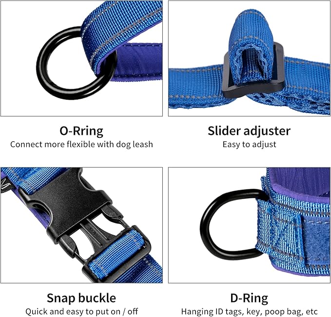 Annchwool No Pull Dog Harness with Padded Handle+5 Ft Leash,Reflective Strip Escape Proof and Quick Fit to Adjust Dog Harness,Easy for Training Walking for Small & Medium and Large Dogs(Blue-Set,XL)