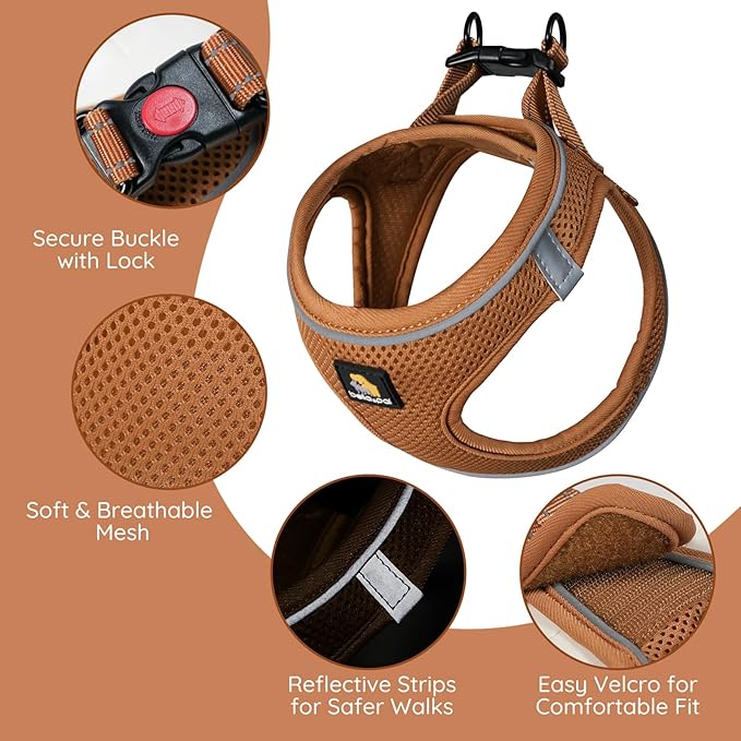 BELLA & PAL Step in Vest Harness for Small and Medium Dogs, No Pull Puppy Harness with Leash Set, Comfortable Air Mesh Dogs Vest Harness with Reflective Strip (Mokka, XS)