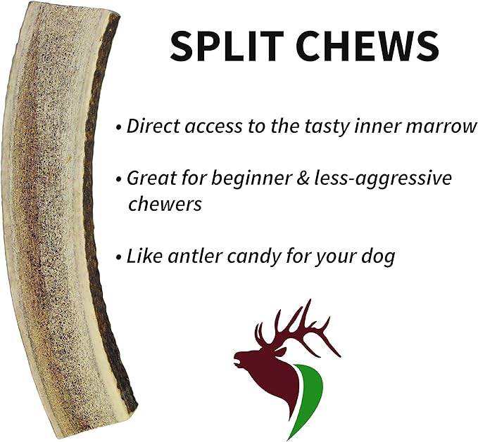 X Small Split Twin Pack (for 0-10 lb Dogs and Puppies) Premium Grade Elk Antlers for Dogs (2 Pieces) Sourced in The USA
