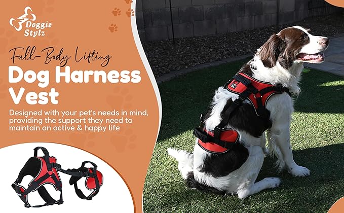 Doggie Stylz Multi-Functional Full-Body Lifting Dog Harness Vest, Designed for Front-Only, Rear-Only or Full-Body Lifting. Please Measure Your Dog Before Ordering.