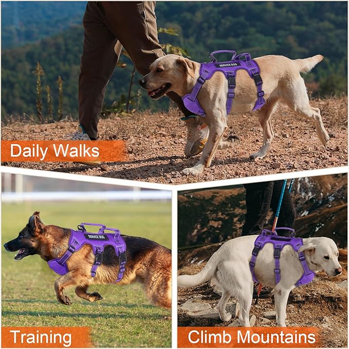 Escape Proof Dog Harness for Large Medium Sized Dogs Six Point Adjustable, Service Dog Vest Harness and Leash Set, No Pull Dogs Harnesses with Handle, XL Dog Harnesses for Walking(Purple, L)