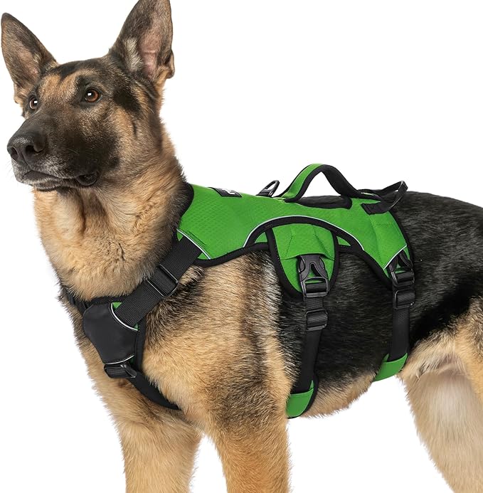 rabbitgoo Escape Proof Dog Harness, Soft Padded Full Body Pet Harness, Reflective Adjustable No Pull Vest with Lift Handle and Lesh Clip for Large Dogs Walking Hiking Training, XL, Green