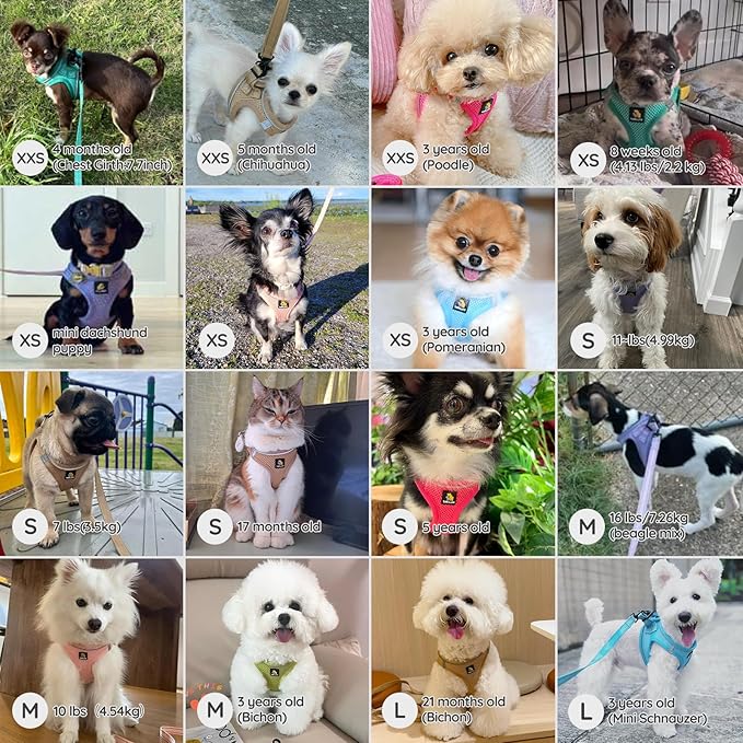 BELLA & PAL Step in Vest Harness for Small and Medium Dogs, No Pull Small Dog Harness with Leash Set, Comfortable Air Mesh Dog Vest Harness with Reflective Strip (Avocado Green, M)