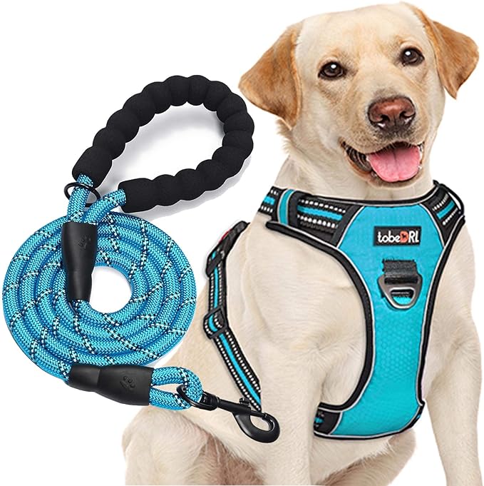 No Pull Dog Harness Adjustable Reflective Oxford Easy Control Medium Large Dog Harness with A Free Heavy Duty 5ft Dog Leash (S (Neck: 13"-18", Chest: 17.5"-22"), Blue Harness+Leash)
