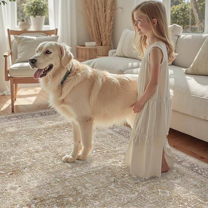 DCX Beige and Taupe 4x6 Rug, Kid & Pet Friendly with Rubber Back Non Slip, Machine Washable Stain Resistant Vintage Traditional Distressed Carpet, Rug for Living Room, Bedroom, Neutral Home Decor