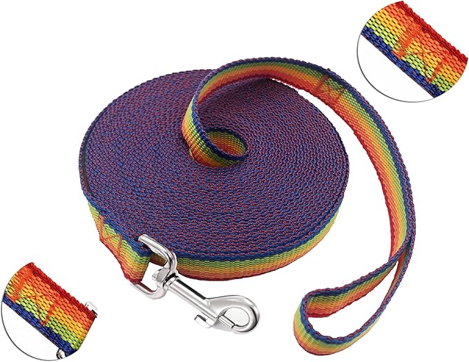 SALO Nylon Training Dog Leash for Small Medium Large Dogs, 1 Inch Wide, 20ft 30ft 40ft 50ft Long Leash Dog/Puppy Lead for Obedience Recall Training, Camping, or Backyard