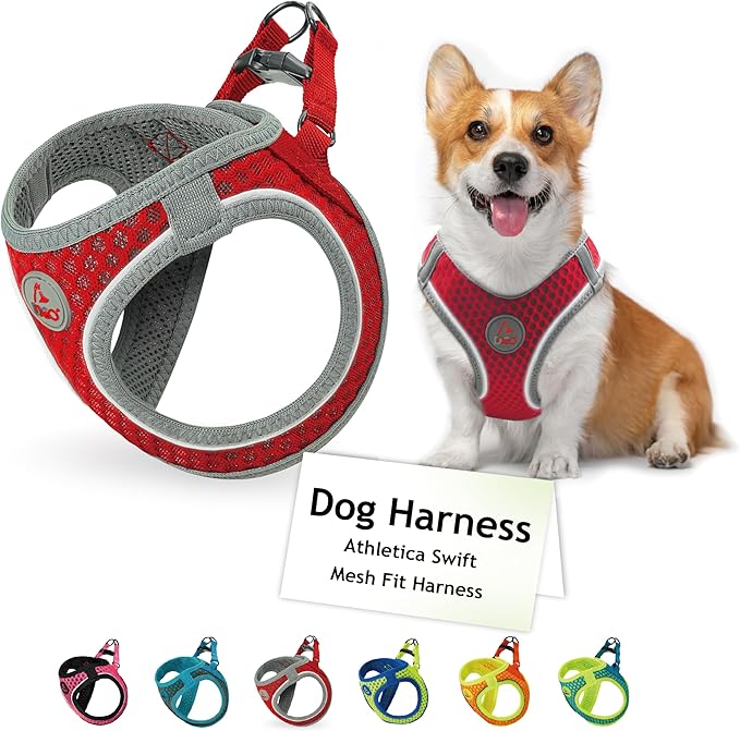 DOCO No Pull Dog Harness for Small Dogs | Adjustable Choke-Free Dog Vest with Breathable Air Mesh | Lightweight & Reflective for Training & Daily Walks – Red, Small (Chest 14.5–15.5 in, 6–10 lbs)