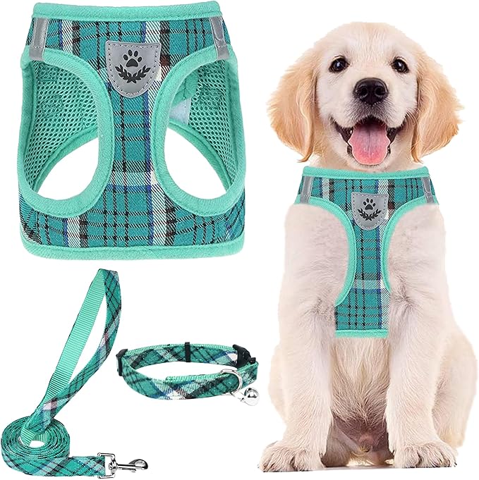 PUPTECK Adjustable Dog Harness Collar and Leash Set Step in No Pull Pet Harness for Small Medium Dogs Puppy and Cats Outdoor Walking Running, Soft Mesh Padded Reflective Vest Harnesses, Lake Green XL