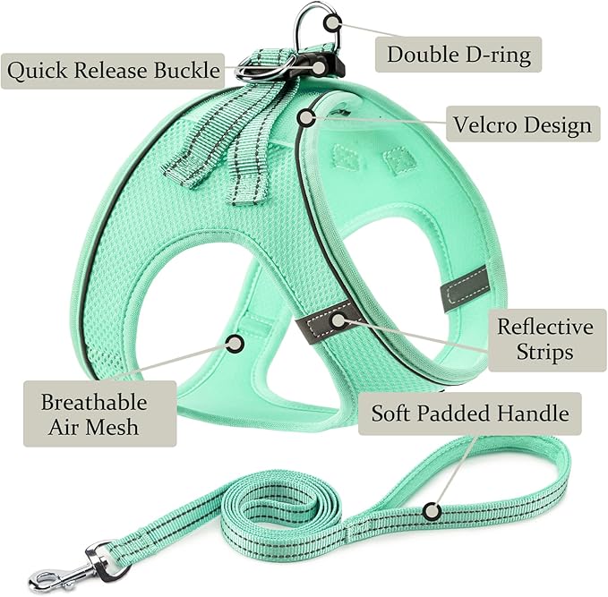 Dog Harness with Leash Set, No Pull Adjustable Reflective Step-in Puppy Pet Vest Harnesses for Small Medium Large Dogs and Cats,Green S