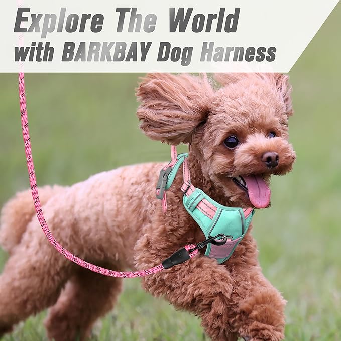 BARKBAY No Pull Dog Harness Front Clip Heavy Duty Reflective Easy Control Handle for Large Dog Walking(Cool Mint & Baby Pink,XS)