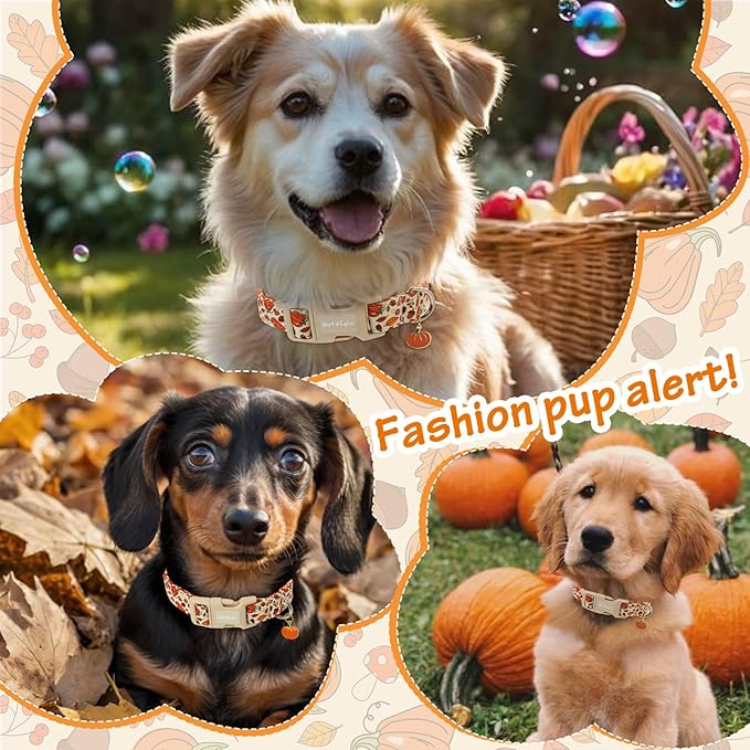 Fall Dog Collar ??Halloween & Thanksgiving Dog Collars for Extra Small Dogs ??Soft & Comfortable Autumn Puppy Collar with Quick Release Buckle, Extra Small Dog Collars for Girl Boy Dogs-XS