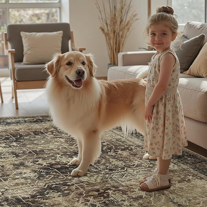 DCX Washable 5x7, Kid & Pet Friendly with Rubber Back Non Slip, Stain Resistant Vintage Rug for Living Room, Bedroom, Home Office, Soft Low Pile Large Farmhouse Distressed Carpet, Brown