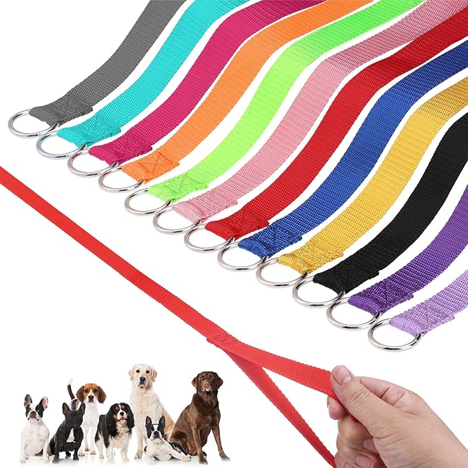 HOMIMP Slip Lead Dog Leash 6 FT- 12 PCS Bulk Colors Kennel Control Leashes for Small Medium Large Dogs Puppy Animal Rescue, Grooming - Heavy Duty Strong Nylon 6 Foot Long for Shelter, Vet, Training