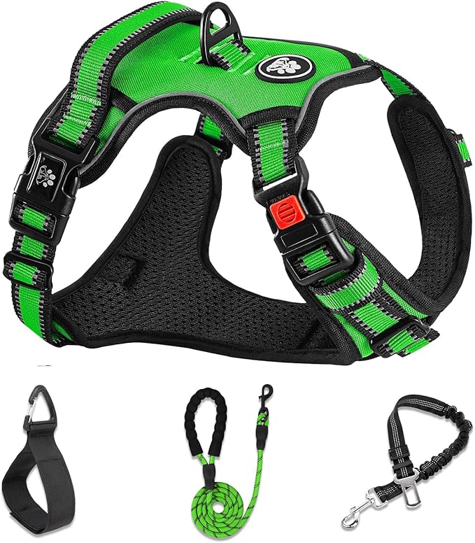 NESTROAD No Pull Dog Harness,Adjustable Oxford Dog Vest Harness with Leash,Reflective No-Choke Pet Harness with Easy Control Soft Handle for Large Dogs(X-Large,FluorescentGreen)