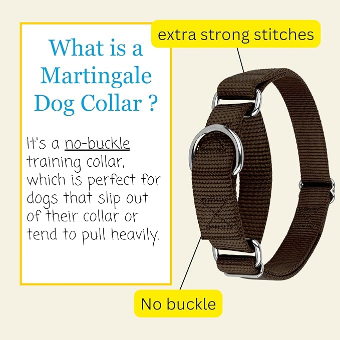 Country Brook Petz - Martingale Dog Collar - Heavy-Duty Training Collar with No Buckle - Service Dog Collar for All Pups - 10+ Warm Colors (Brown, 1 Inch, Medium)