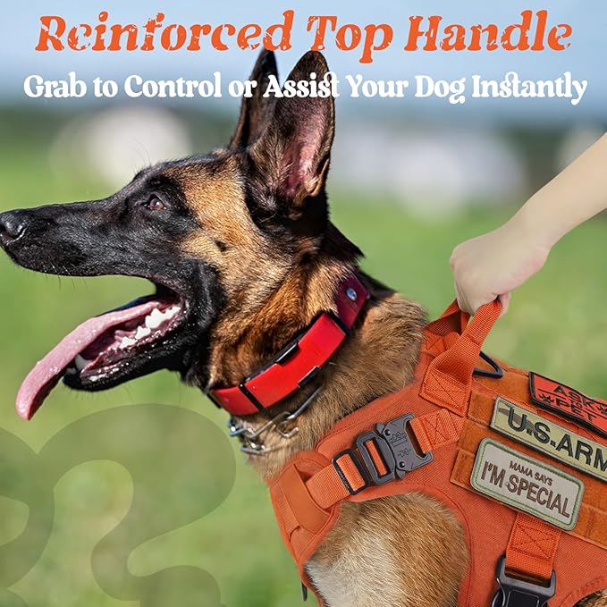 rabbitgoo Tactical Dog Harness for Large, Heavy Duty Pet Harness with Handle, No-Pull Service Vest Large Breed, Adjustable Military Dog Vest for Training Hunting Walking, Orange, XL