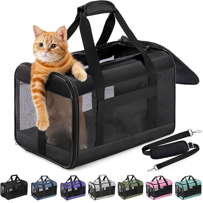Cat Carrier Airline Approved, Soft-Sided Dog Carrier with Inner Safety Leash, Pet Transport Carrier for Small-Medium Cats Puppies up to 15 Lbs, Collapsible Travel Kitten Carrier Bag -BlackM
