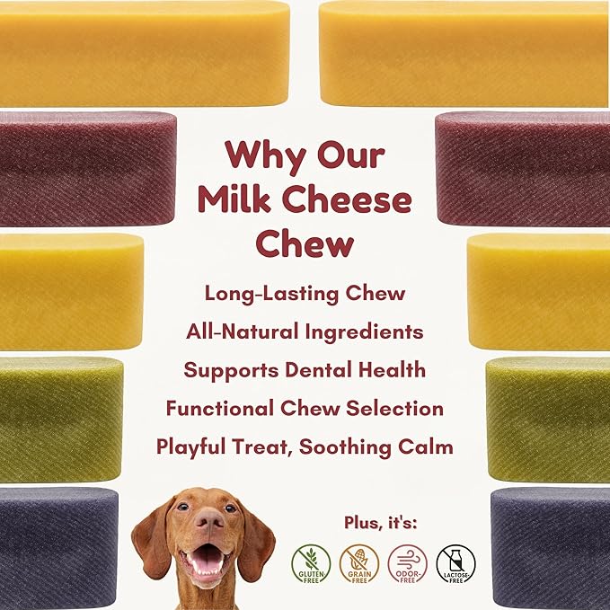 Majestic Pet Himalayan All-Natural Yak Style Cheese Dog Chews Made with 100% Cows Milk- Long Lasting Dental Chew for Dogs - Healthy Pet Treats (Dental & Bone Support, XL, 1 Pack)