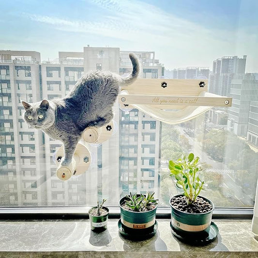 Cat Window Perch with 2 Stairs, Natural Wood, 17'' Wide Hammock, 5 Strong Suction Cups