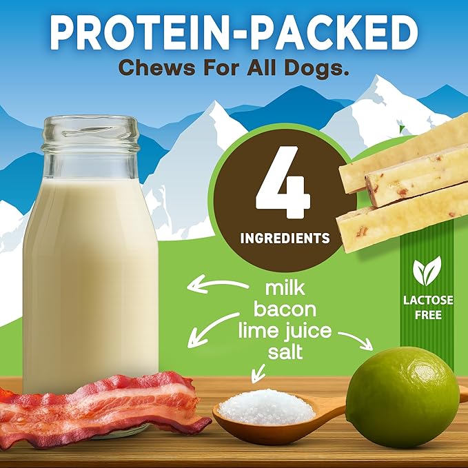 EcoKind Premium Gold Yak Cheese Himalayan Dog Chews, Healthy Dog Treats for Small Dogs, All Natural, High Protein Dog Chew, Bacon, Small - 8 Chews