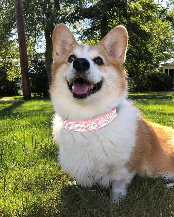Bling Dog Collar for Small Medium Large Dogs, Crown Rhinestone Dog Collars for Girl and boy Dog, Diamond Puppy Collars, Adjustable Leather Suede SOFE Cat Collar (L(15"-18.1"/38CM-46CM), Pink)