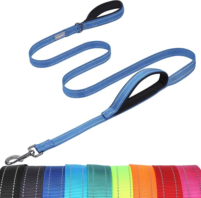 VIVAGLORY Twingrip Dog Leash, Double Handle Dog Leash for Training & Walking with Traffic Handle & 2 Loop, Traffic Control Reflective Heavy Duty for Puppy Pet, 4ft x 1in, Blue