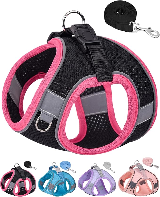 Dog Harness for Small Medium Sized Dog, Step in Puppy Harness and Leash Set Training Walking. (Black, XXS)