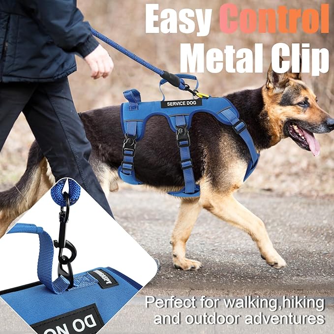 Escape Proof Dog Harness for Large Medium Sized Dogs Six Point Adjustable, Service Dog Vest Harness and Leash Set, No Pull Dogs Harnesses with Handle, Medium Dog Harnesses for Walking(Blue, M)