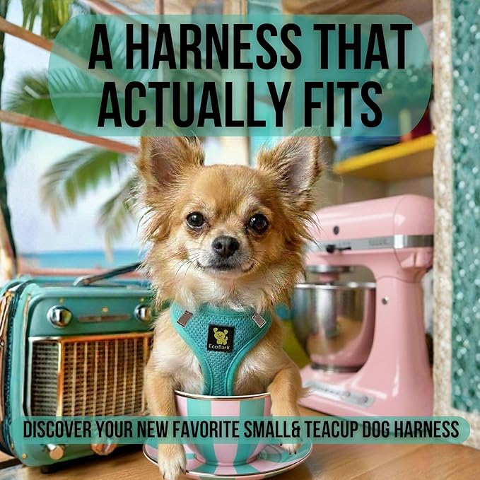 EcoBark XS Dog Harness for XXS, XS, Sm & Medium Size Dogs & Puppies - No Pull Soft Luxury Mesh - Step in Harness Small Sized Vest - Cute Adjustable Little Halter Body Wrap 5-6 lbs (X-Small, Mint)