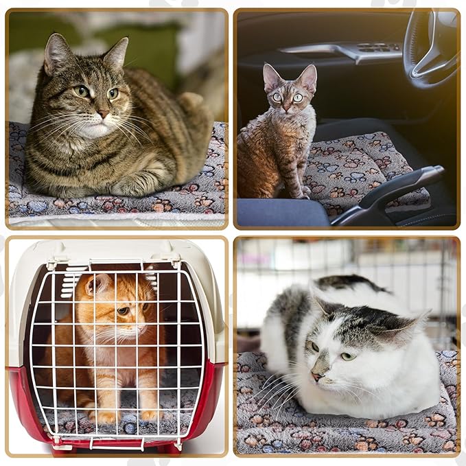 Tuanse 4 Pack Ultra Soft Dog Cat Bed Mat with Cute Prints Reversible Fleece Dog Crate Kennel Pad Cozy Washable Thickened Hamster Guinea Pig Pet Bed Mat for Small Animals(13 x 19 Inches,Gray)